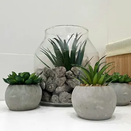 Desi'apartament. *